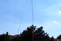 P8130414
