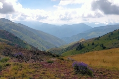 IMG20200719105121