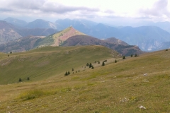 IMG20200719141711