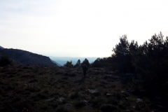 b9ea72d1-c9e1-48ec-97dc-42bda438d0d5