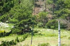 DSC00680