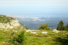 DSC00703