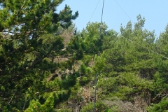 DSC00720